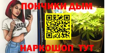 индика Азнакаево