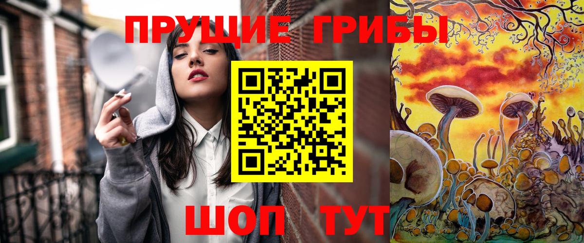 Александров  Галлюциногенные грибы мицелий  Вход с VPN 