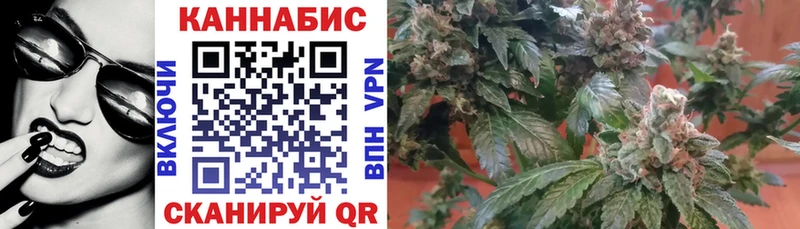 Конопля индика  где купить   Александров 